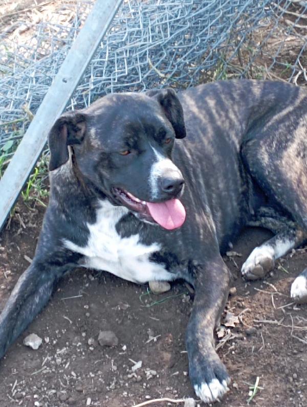 Gemma e Giada sorelline vivaci e allegrotte Foto 9